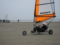 IMG_3305.JPG