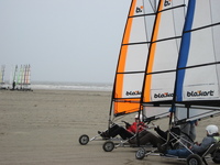 IMG_3347.JPG