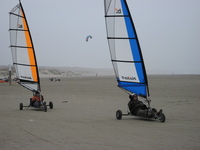 IMG_3349.JPG