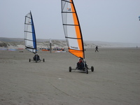 IMG_3350.JPG