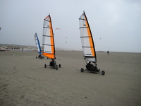IMG_3368.JPG