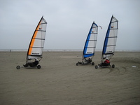 IMG_3369.JPG