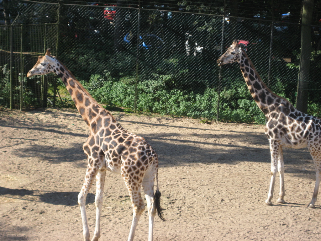 IMG_6066.jpg