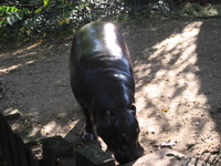 IMG_6046.jpg
