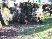 IMG_6047.jpg