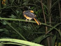 IMG_6051.jpg