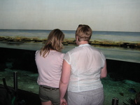 IMG_6062.jpg