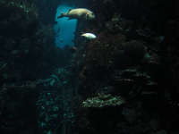 IMG_6063.jpg