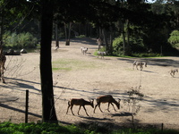 IMG_6074.jpg