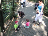 IMG_6077.jpg