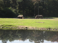 IMG_6078.jpg