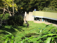 IMG_6080.jpg
