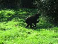 IMG_6082.jpg