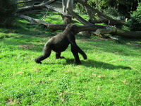 IMG_6084.jpg