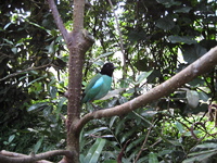IMG_6087.jpg