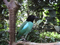 IMG_6089.jpg