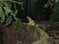 IMG_6090.jpg