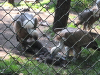IMG_6091.jpg