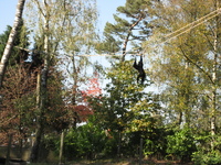 IMG_6098.jpg