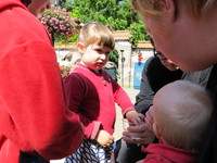 IMG_2679.jpg