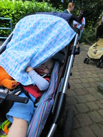 IMG_2683.jpg