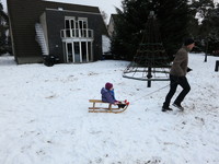 IMG_1802.jpg