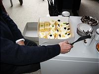 IMG_1082.jpg