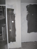 IMG_5372.jpg