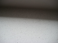 IMG_5398.jpg