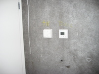 IMG_5415.jpg