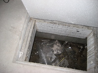 IMG_5417.jpg