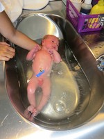 IMG_0689.jpg