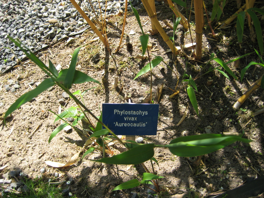IMG_5533.JPG