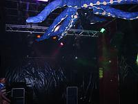 IMG_1305.jpg