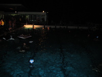 IMG_0350.jpg