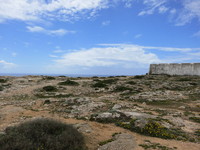 IMG_0129.jpg