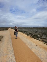 IMG_0137.jpg