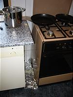 IMG_2531.jpg