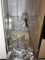 IMG_2532.jpg