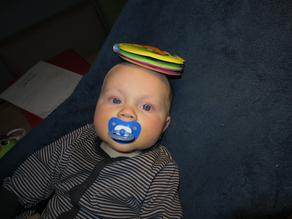 IMG_1966.jpg