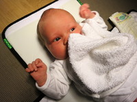 IMG_1072.jpg