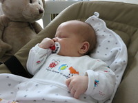 IMG_1079.jpg