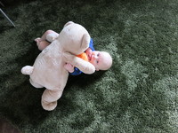 IMG_1968.jpg