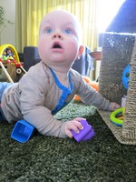 IMG_2207.jpg