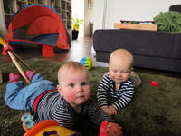 IMG_2258.jpg