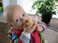 IMG_2478.jpg