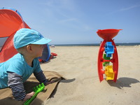 IMG_2516.jpg