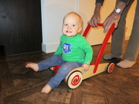 IMG_2913.jpg