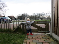 IMG_3375.JPG