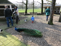 IMG_3505.JPG